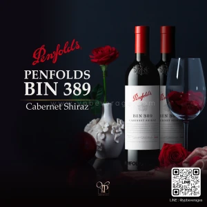 PENFOLDS BIN 389 CABERNET SHIRAZ | Australian Red Wine