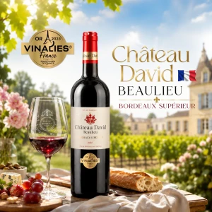 CHÂTEAU DAVID BEAULIEU BORDEAUX SUPÉRIEUR RED | Bordeaux Red Wine, France