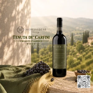 ONE BELVEDERE TENUTA DE’ CARFINI CHIANTI CLASSICO DOCG | Organic Old-Vine Sangiovese, Tuscany, Italy